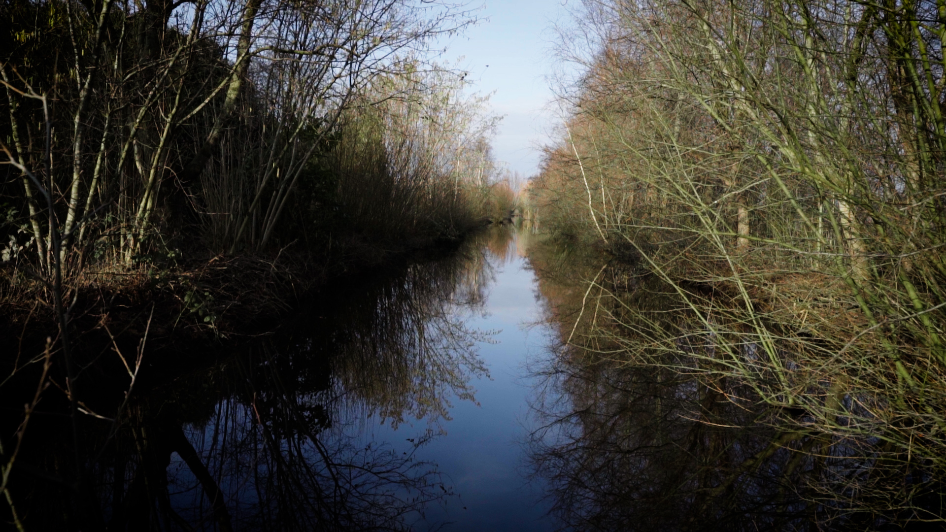 Tussen de kwekerijen in Boskoop