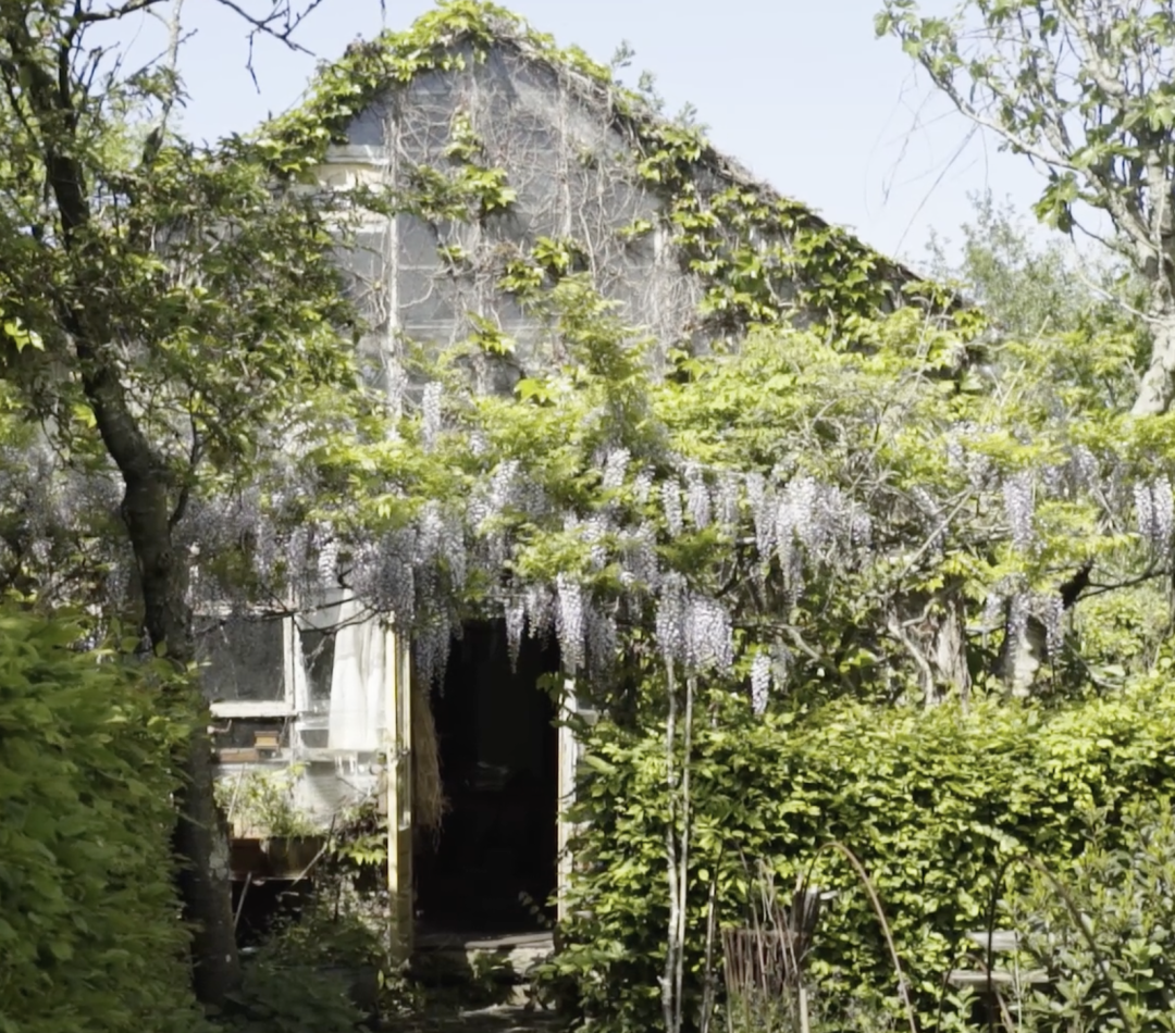 Kwekerij het groene huis in de bloei