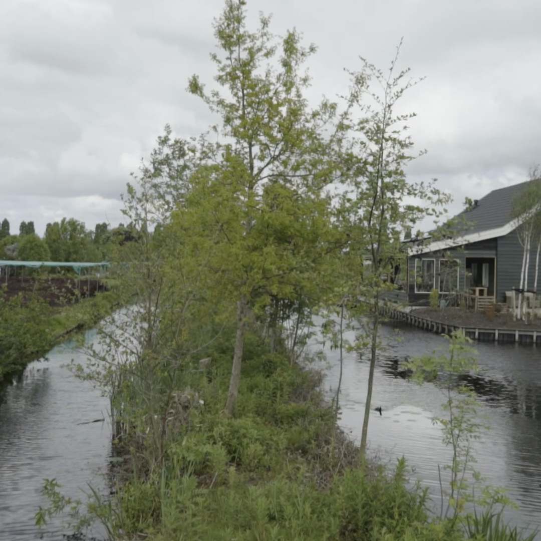 de houtakker Tuinen van boskoop